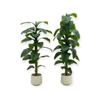 اشجار صناعية ورق كبير حوض بلاستيك