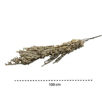 ورد لافندر غصن صناعي طويل