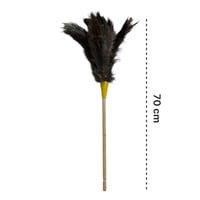 ريش نعام منفضة