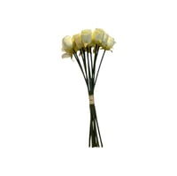 أغصان بيبي روز