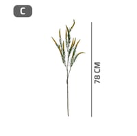 غصن ورق اللافندر سالفيا