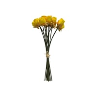 أغصان بيبي روز