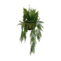 مكرمية مع خضار متدلي