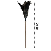 ريش نعام منفضة