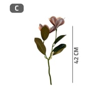 غصن ورد ماغنوليا