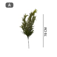 دالية خضراء متنوع