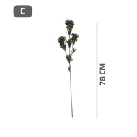 ورد اوركيد ابيض ثلجي