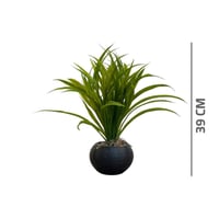 شتله صغيرة خضراء بمركن