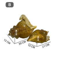 ديكور صدفة زجاج