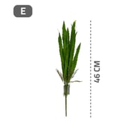 شتلة صغيرة خضراء