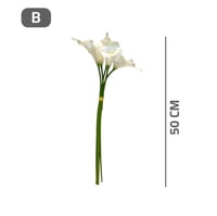 زهرة الكالا