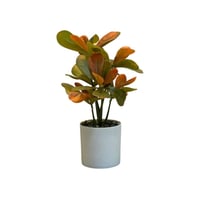 نباتات صناعية بمركن