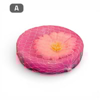 رائحة للحمام قرص