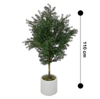 شجرة أروكاريا 110 سم