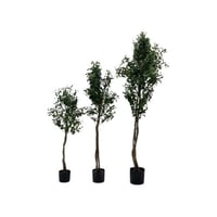 شجر زيتون صناعي