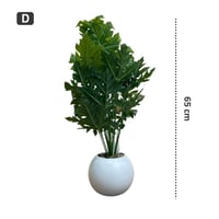 شتلة ورق بابايا اخضر 18 ورقة حوض بلاستيك