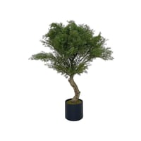 شجرة أروكاريا 110 سم