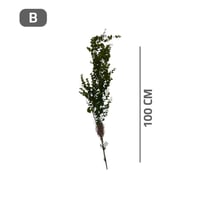 غصن دالية خضراء متنوعة