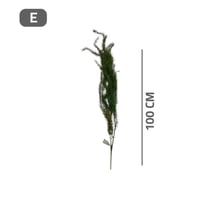 غصن دالية خضراء متنوعة