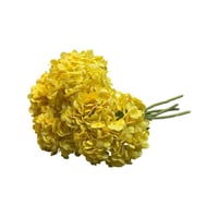 زهرة بلوسوم ناعم ربطة