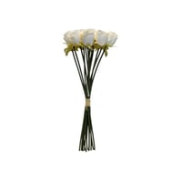 أغصان بيبي روز