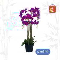 أوركيد 9 أغصان لون وردي غامق