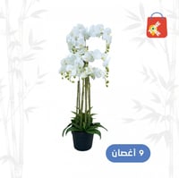 أوركيد 9 أغصان لون أبيض