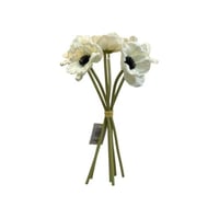 ورد بوبي سكري