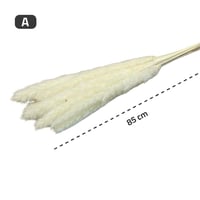 غصن ريش للديكور