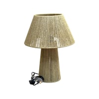 ابجورة بوهيمي