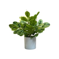 نباتات متفرعة صناعية