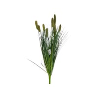 شتله برغراس خريفي