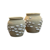 مركن بيج صدف