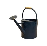 ابريق زرع حديد