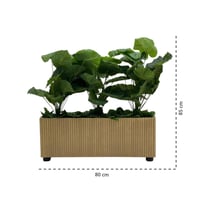 شتلة ورق أخضر جامبو حوض مستطيل