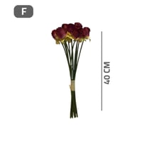 أغصان بيبي روز