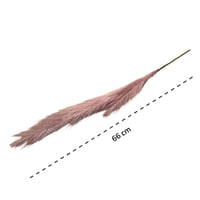 غصن ريش عدة الوان