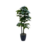 شجرة الشفليرا صناعي