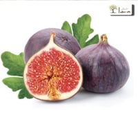 تين أسباني أسود