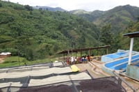 محصول اليمن | فلوة