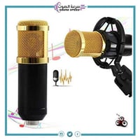 مايك بث استوديو حساس عالي الجودة/ماركة BORL / BM-8...