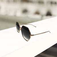 نظارة شمسية انا هيكمان HI3181 05A