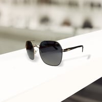 نظارة شمسية تروي - 5273NP C6 TROY