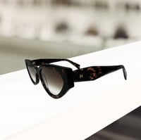 نظارة شمسية انا هيكمان HI9203 P02