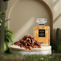 بخور كوكو شانيل