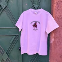 قميص الخيل العربي