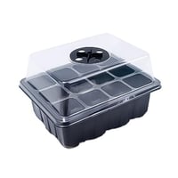 حاضنة بذور ١٢ عين