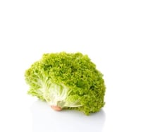 خس لولو بوندا