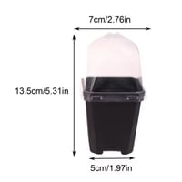 اصيص ٥ سم ملون