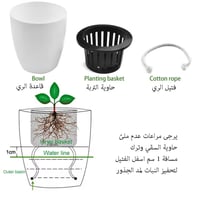 حوض اقتصادي ٢٢سم